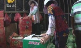 温县网红吃瓜事件视频播放